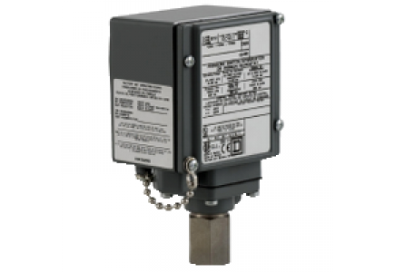 9012G 9012GCW23 - pressure switch 9012G - adjustable scale - 2 thresholds - 170 to 5600 psig , Schneider Electric