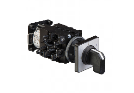Harmony K K2H001YCH - cam switch , Schneider Electric