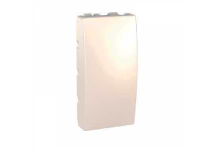 Unica MGU9.868.25 - Unica - blind cover plate for  - 1 m - ivory , Schneider Electric
