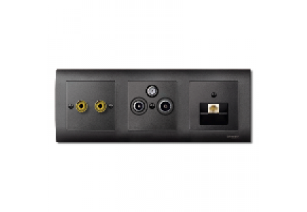 Merten System M MTN469314 - Central plate with high-end loudspeaker connector, anthracite, System M , Schneider Electric