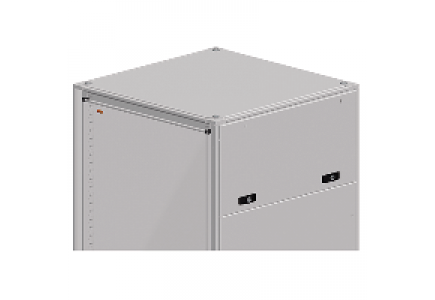 NSYCDP36 - Porte horiz. rabattab. 300x600 , Schneider Electric NSYCDP36 - Porte horiz. rabattab. 300x600 , Schneider Electric