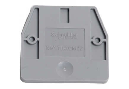 Linergy NSYTRACM22 - Cloison extremité - largeur 1mm - pour borne à vis mini NSYTRV 2M , Schneider Electric