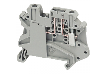 Linergy NSYTRV42TB - Borne à vis sectionn. avec connecteurs functionnels - 2points - 4mm² - gris , Schneider Electric
