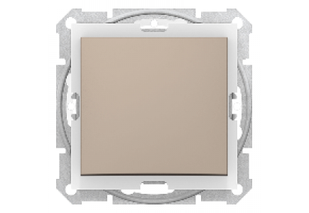 Sedna SDN0100368 - Sedna - 1pole switch - 10AX IP44 without frame titanium , Schneider Electric
