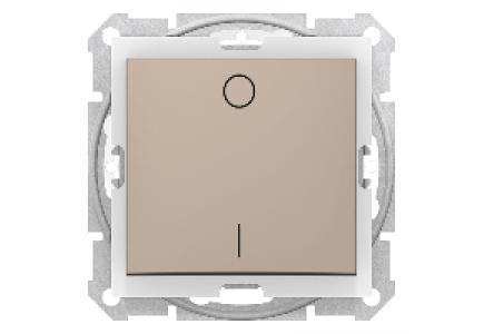 Sedna SDN0200368 - Sedna - 2pole switch - 10AX IP44 without frame titanium , Schneider Electric