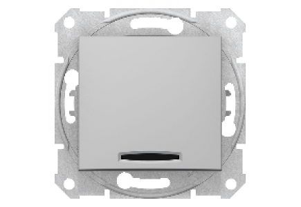 Sedna SDN0201160 - Sedna - 2pole switch - 10AX indicator light, without frame aluminium , Schneider Electric