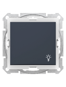 Sedna SDN0900370 - Sedna - 1pole pushbutton - 10A light symbol, IP44 without frame graphite , Schneider Electric