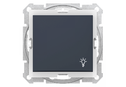 Sedna SDN0900370 - Sedna - 1pole pushbutton - 10A light symbol, IP44 without frame graphite , Schneider Electric