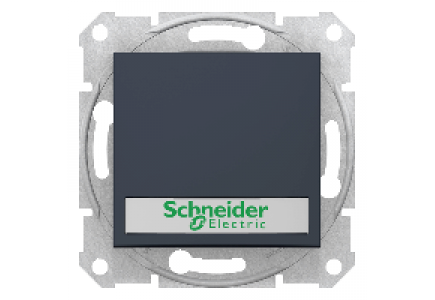 Sedna SDN1700470 - Sedna - 1pole pushbutt - 10A 12V~ label, locator light, without frame graphite , Schneider Electric