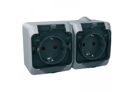 Cedar Plus WDE000625 - Cedar Plus - double socket-outlet sideE - 16A, shutters, transparent lid, grey , Schneider Electric