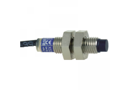 OsiSense XS XS2N08PA341 - DETECTEUR 10A38VDC-2,5MM TUBE INOX , Schneider Electric