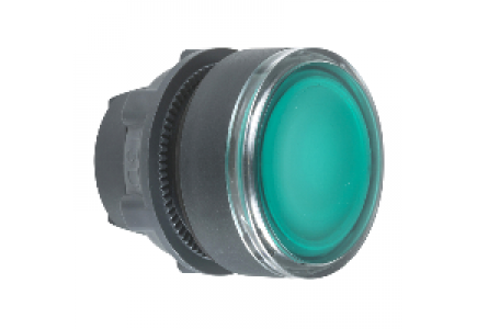 Harmony XB5 ZB5AH0383 - tête pour bouton poussoir lumineux - Ø 22 - pour étiquette - vert , Schneider Electric