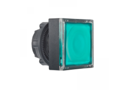 Harmony XB5 ZB5CW333 - Harmony tête pour bouton-poussoir lumineux carré - Ø22 - pour étiquette - vert , Schneider Electric