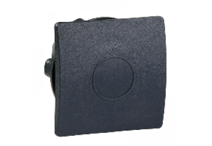Harmony XB5 ZB5SZ5 - Harmony obturateur carré pour Ø22mm - noir , Schneider Electric Harmony XB5 ZB5SZ5 - Harmony obturateur carré pour Ø22mm - noir , Schneider Electric